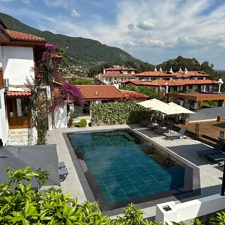 Tomsan & * 阿奇亚卡