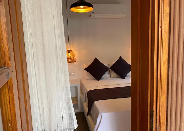 Tomsan & 阿奇亚卡