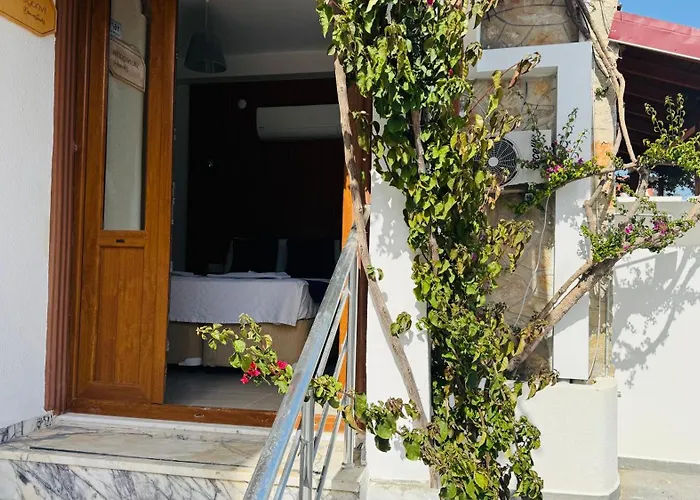 Tomsan & 阿奇亚卡